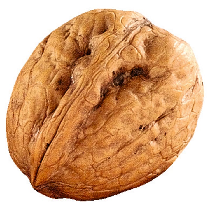 Überraschungsnüsse, 32 Stück