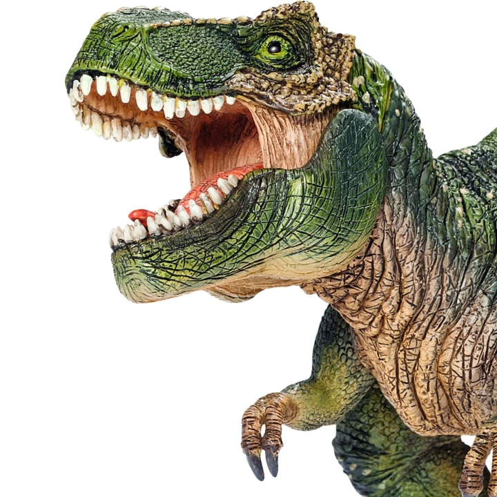 Schleich® Dinosaurier-Set, 5-teilig