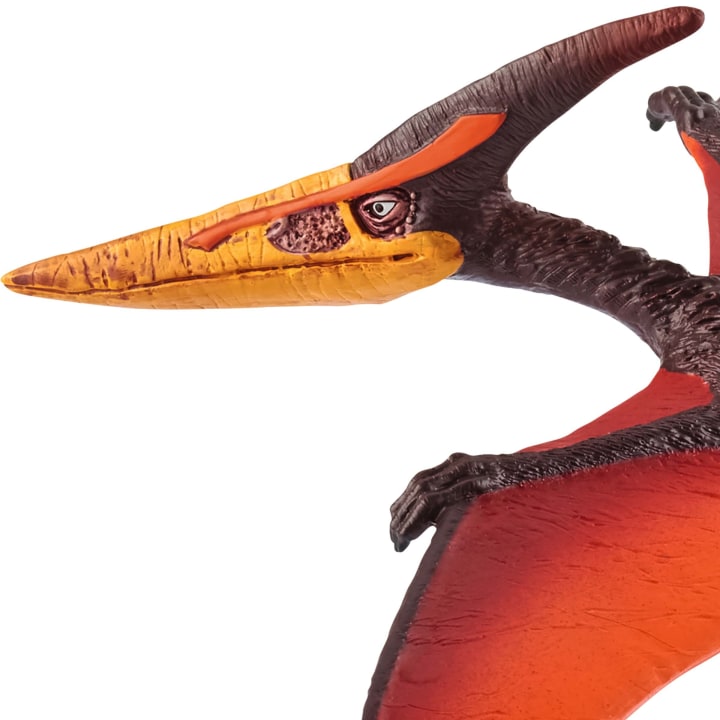 Schleich® Dinosaurier-Set, 5-teilig