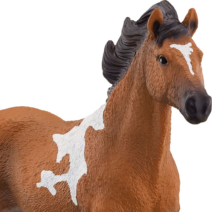 Schleich® Pferde-Set, 10-teilig
