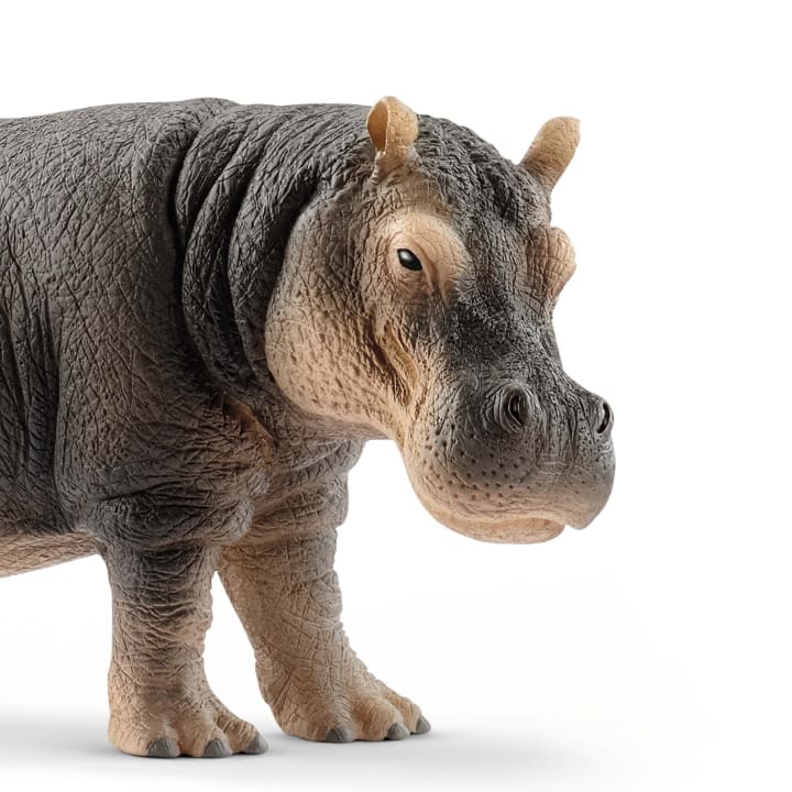 Schleich® Wildtiere-Set Afrika, 9-teilig