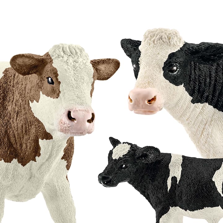 Schleich Bauernhoftiere-Set, 12-teilig