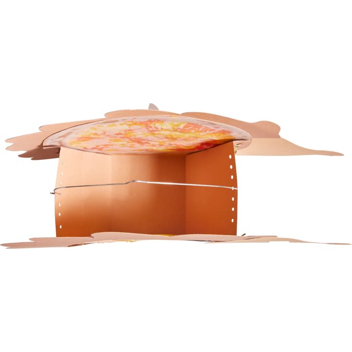 Eine Pizza in einer geöffneten Pappschachtel, von der Seite gesehen. Der Deckel und die Klappen des Kartons sind teilweise geöffnet und geben den Blick auf die Pizza auf einem Tablett im Inneren des Kartons frei. Das Bild ist isoliert auf einem weißen Hintergrund.