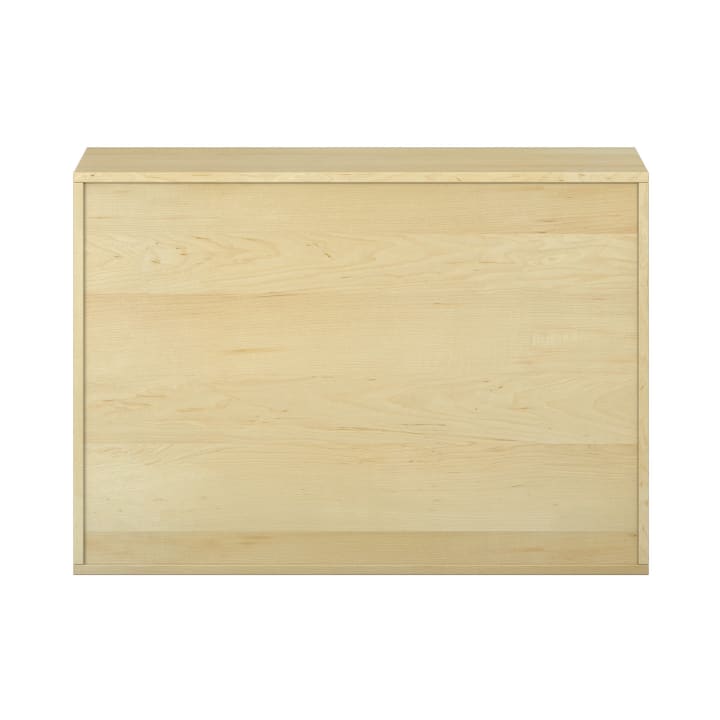 Ein rechteckiger Holzschrank mit einer hellen Holzoberfläche und einer flachen Frontplatte, dargestellt vor einem weißen Hintergrund.