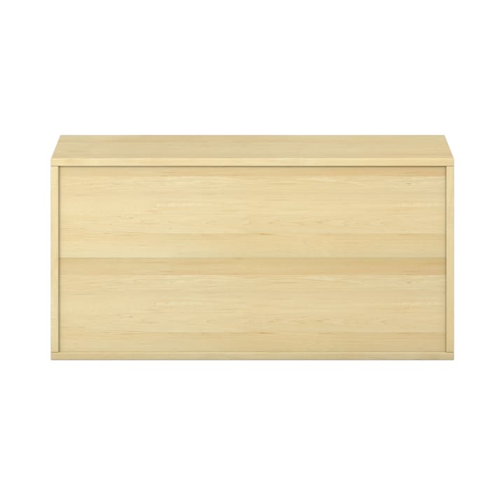 Pureo Portfolioschrank B100 x H50 x T42 cm