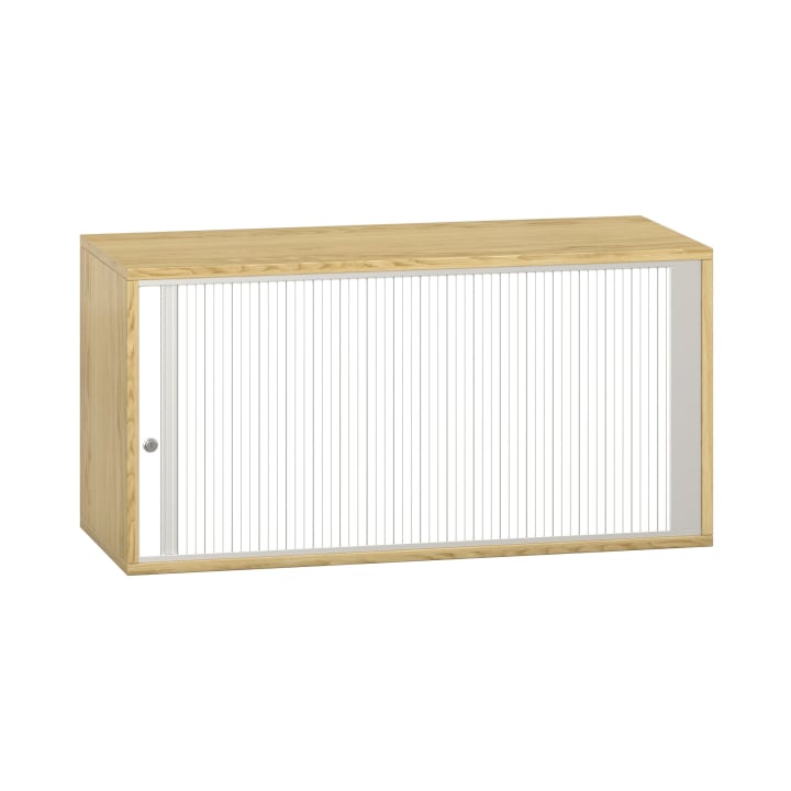 Pureo Portfolioschrank B100 x H50 x T42 cm
