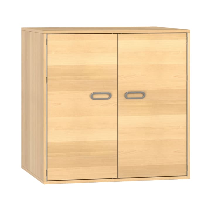 Schrank Doppeltüren 100/100/80cm
