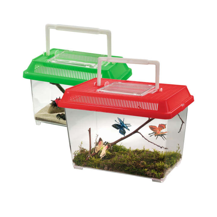 Insektenbox, geräumig  mit Luftrillen, Tragegriff, 2 Stück