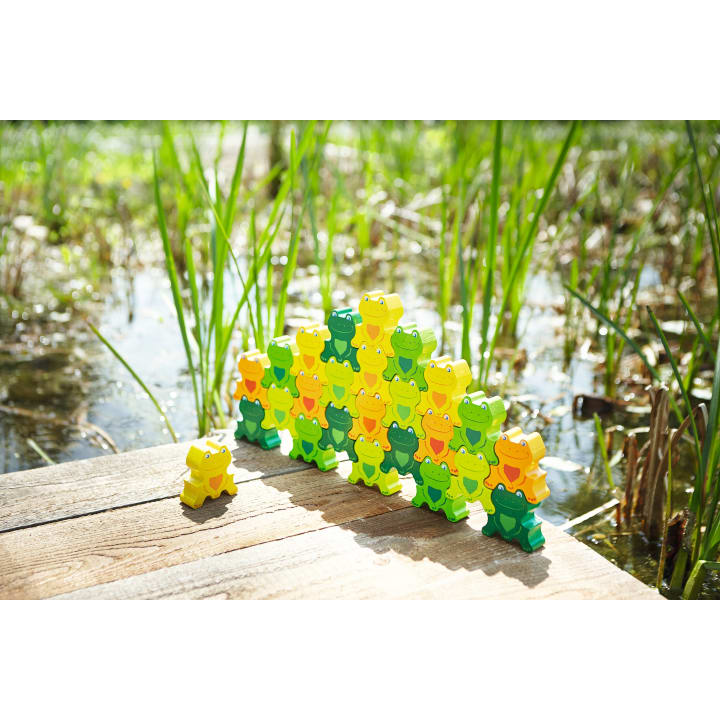 Parkett Freche Frösche 3-D, 25 Teile