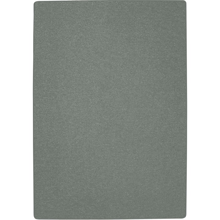 Bauteppich, Platingrau, 2 x 3 m