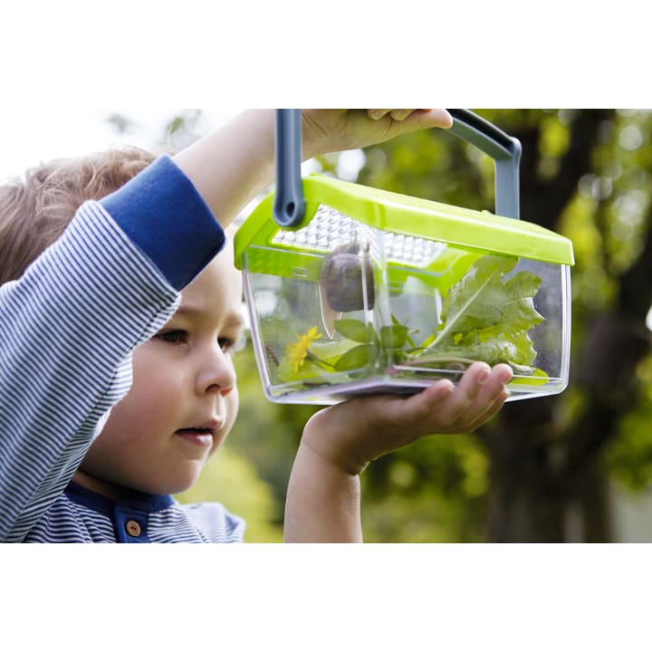 Ein kleines Kind hält einen durchsichtigen Plastikbehälter mit einem grünen Deckel hoch, der Blätter, Blumen und eine Schnecke enthält. Das Kind ist im Freien und schaut sich den Inhalt des Behälters genau an.