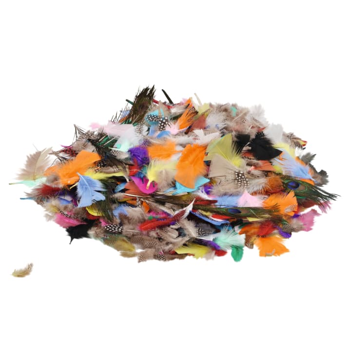 Ein großer Haufen verschiedener Federn in verschiedenen Farben und Mustern, darunter orange, blau, grün, gelb, rosa, braun, schwarz und weiß, auf weißem Hintergrund.