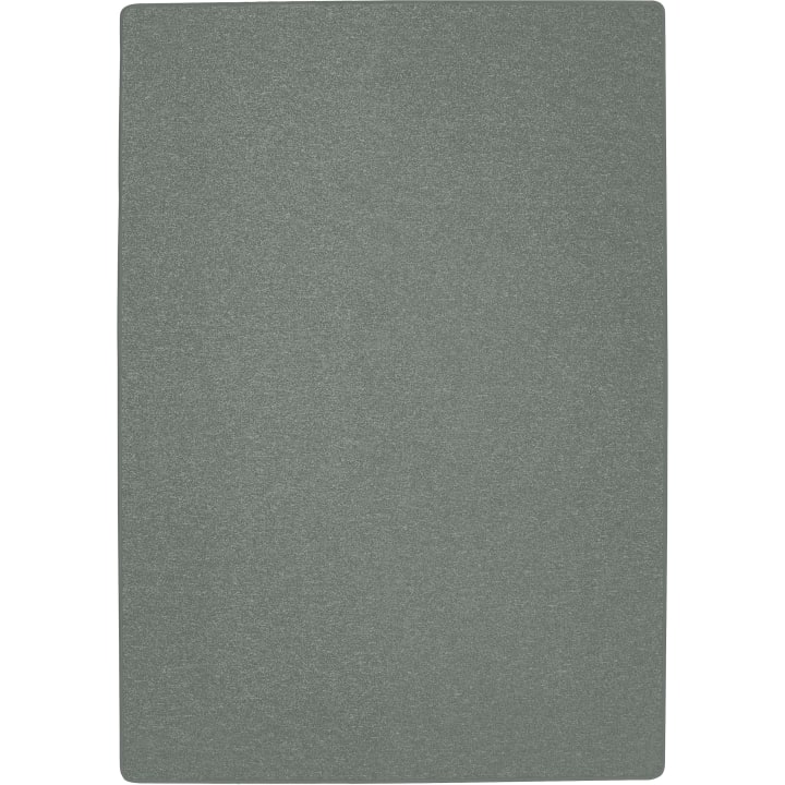 Bauteppich, Platingrau, 2 x 3 m