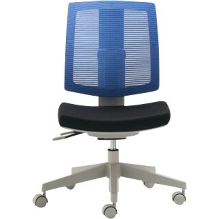 Drehstuhl Flexo-Sit, Sitzh. 38 - 50 cm
