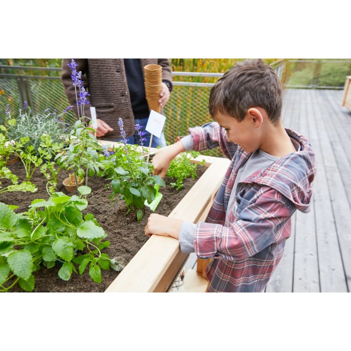 Hochbeet für den Kindergarten, schmal