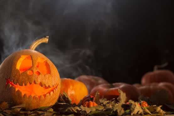 Halloween Kürbis schnitzen
