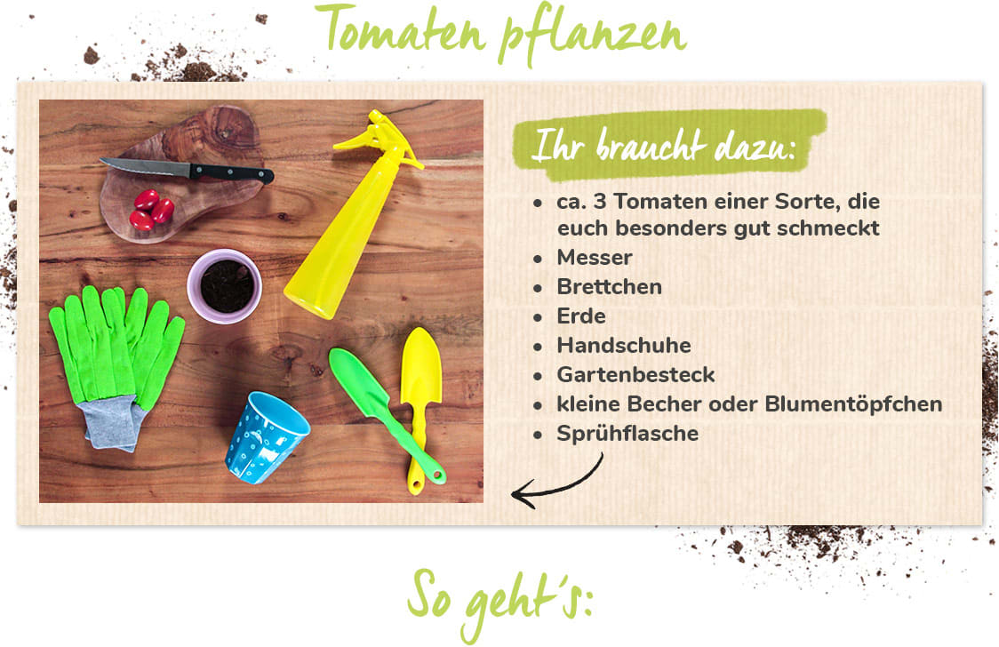 Do-It-Yourself Tomaten pflanzen