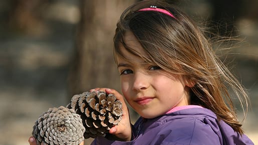 Beim Waldspaziergang mit Kindern finden sich viele Tannenzapfen zum Basteln Kind mit Tannenzapfen