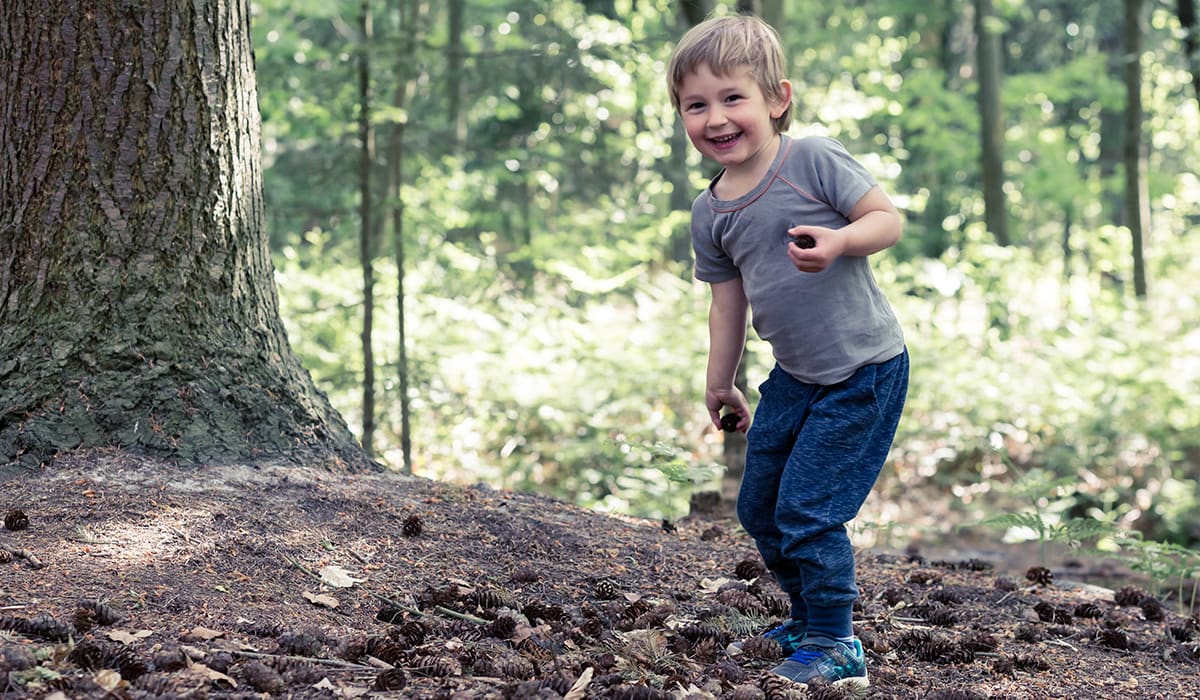 Nicht nur das Basteln, auch das Sammeln von Tannenzapfen im Wald macht Spaß Fröhliches Kind mit vielen Tannenzapfen auf dem Waldboden