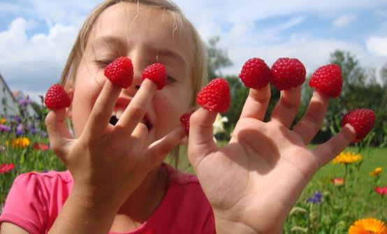 Gärtnern mit Kindern: Himbeeren anpflanzen Gärtnern mit Kindern: Himbeeren anpflanzen