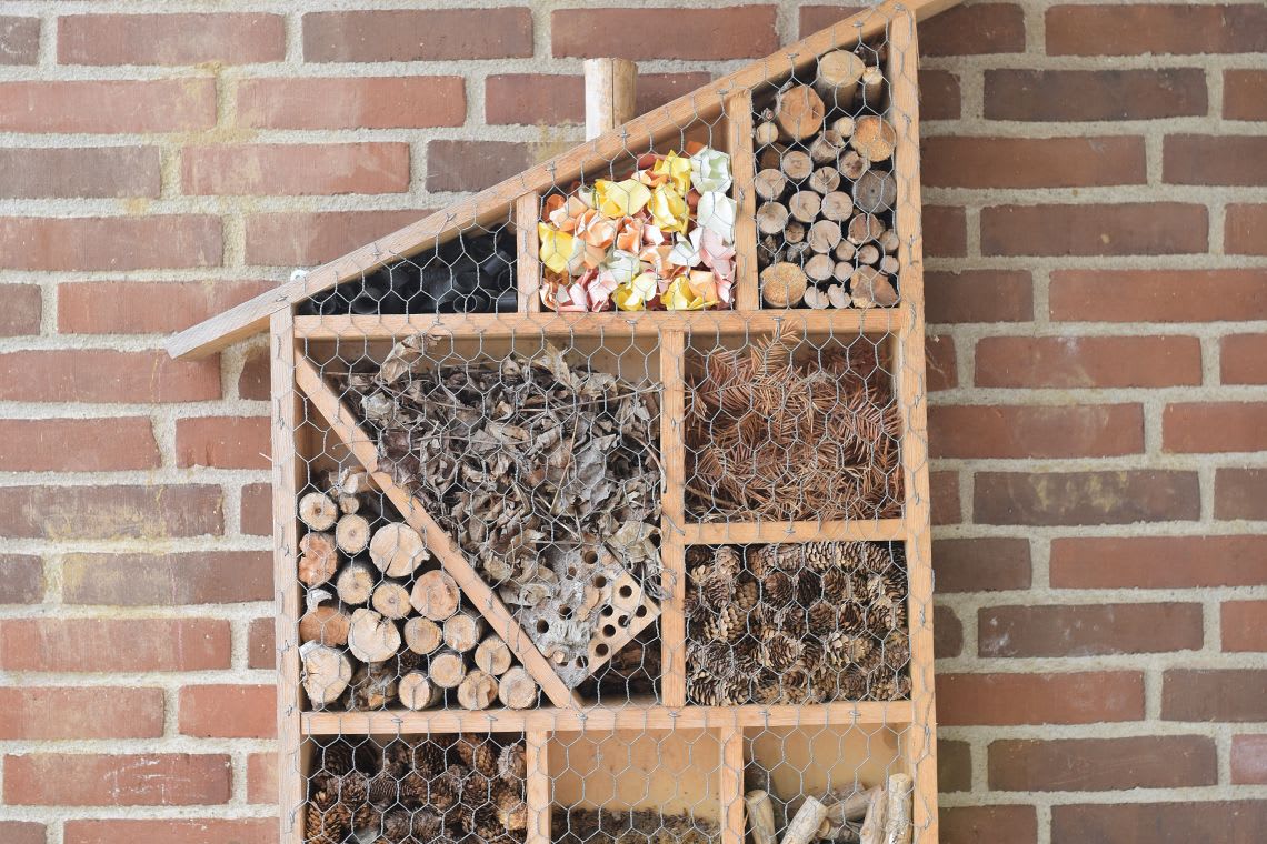 Der geeignete Standort für euer selbst gebautes Insektenhotel Standort: selbst gebautes Insektenhotel