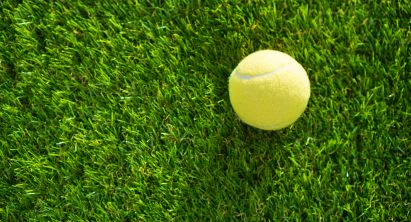 Gartenspiele mit Tennisbällen Gartenspiel: Tennisball liegt im Gras