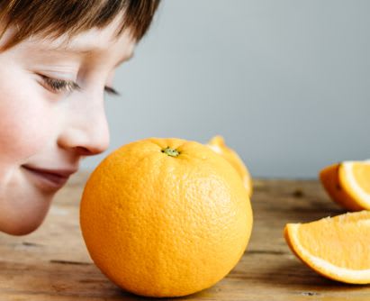 Spiele selber machen: Duft-Memory zum Schärfen eurer Sinne Spiele selber machen: Junge riecht beim Duft-Memory an Orange