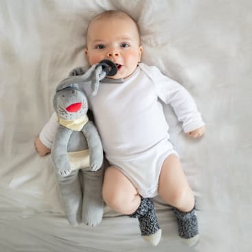 Baby Schnullerhase