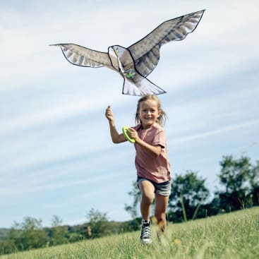 Terra Kids Flugdrachen
