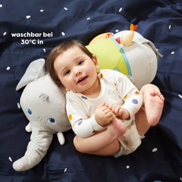 Entdeckertier Elefant