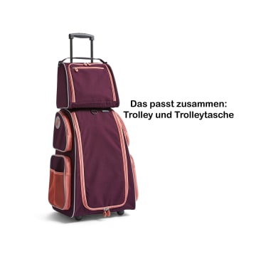 Trolleytasche klein, 13 l