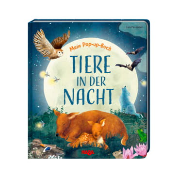 Mein Pop-up-Buch – Tiere in der Nacht