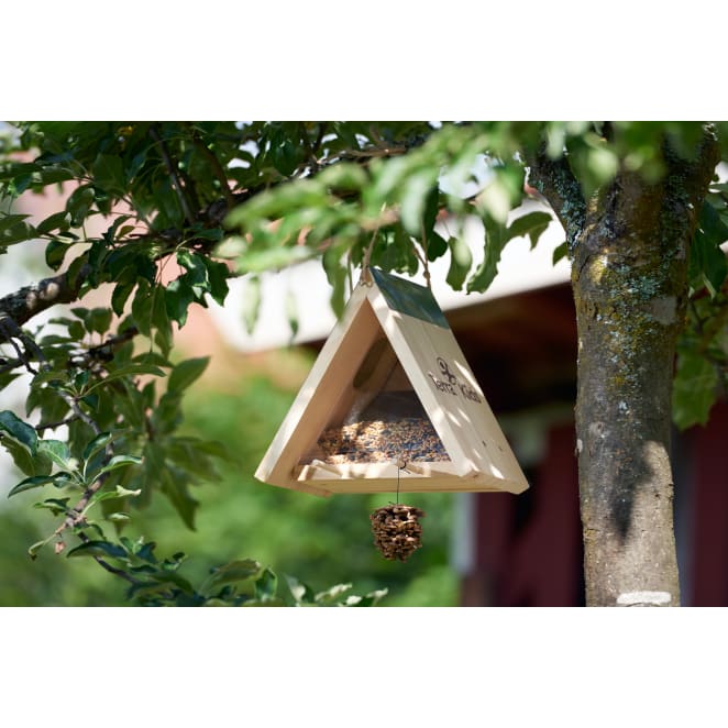 Mangeoire à oiseaux avec crochet de pont - Kit de mangeoire à oiseaux - Kit  de suspension de qualité supérieure pour attirer les oiseaux sauvages :  : Terrasse et Jardin