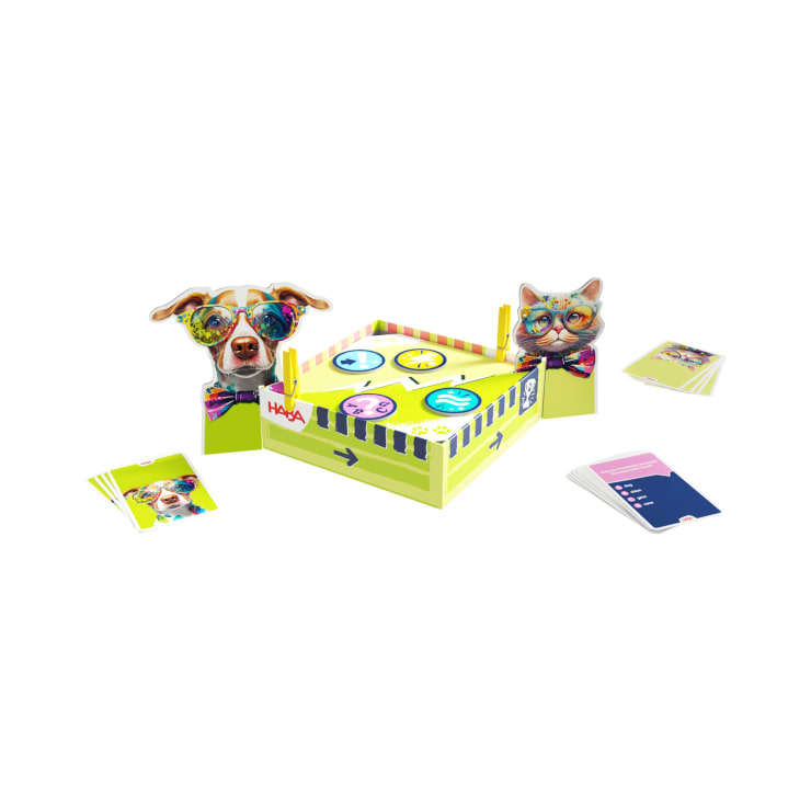 Ein farbenfrohes Tischspiel mit einer quadratischen Schachtel mit Tierbildern, zwei Tierfiguren mit Sonnenbrillen, Spielkarten und kreisförmigen Spielsteinen, die oben auf der Schachtel liegen. Der Hintergrund ist einfarbig weiß.
