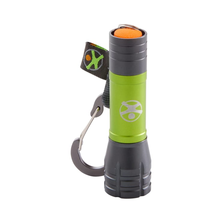 Terra Kids Mini-Taschenlampen, 8,7 cm lang, ab 5 Jahren
