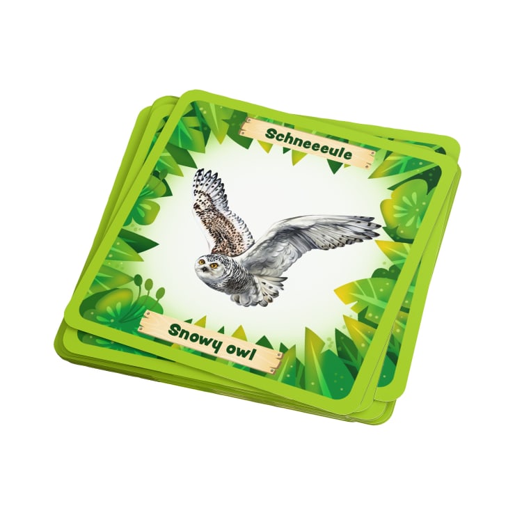 Ein Stapel grün umrandeter Karten mit der Illustration einer fliegenden Schneeeule und den Worten "Schneeeule" und "Snowy owl" auf einem blattreichen Hintergrund.