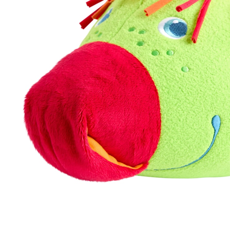 Entdeckertier Drache Rudy