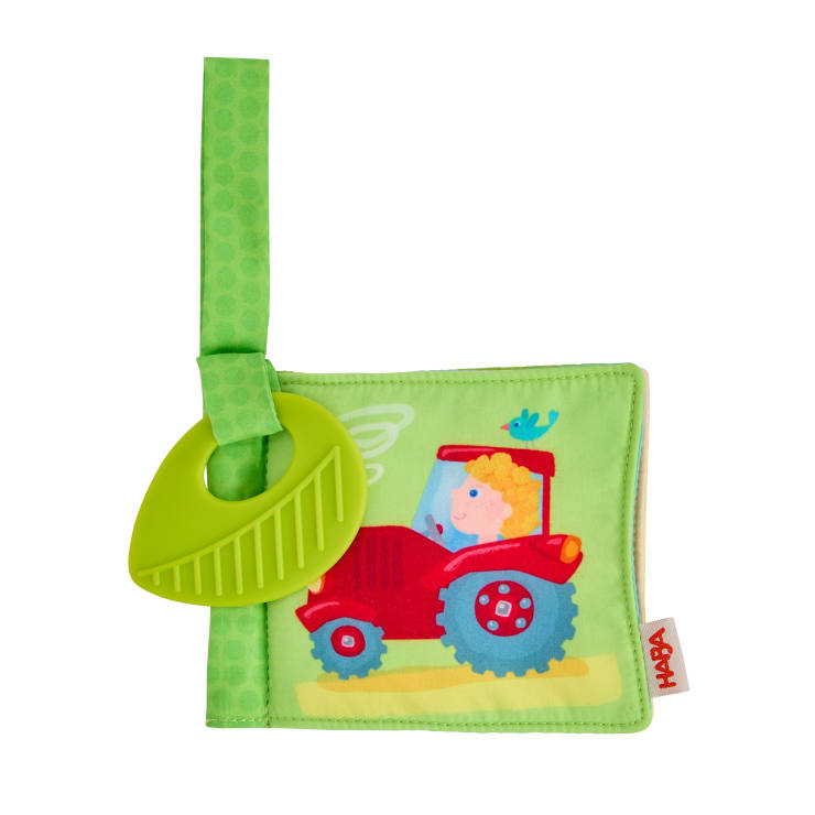 Buggy Book On the Farm