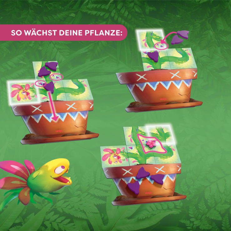 Carni Flora – Wachsen lassen