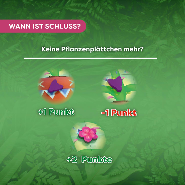 Carni Flora – Wachsen lassen