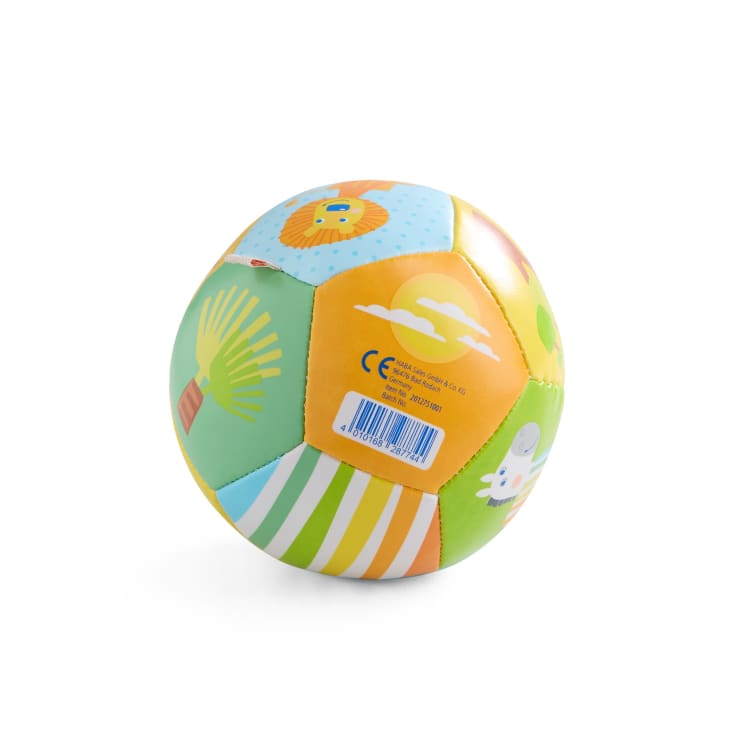 Babyball Zebra