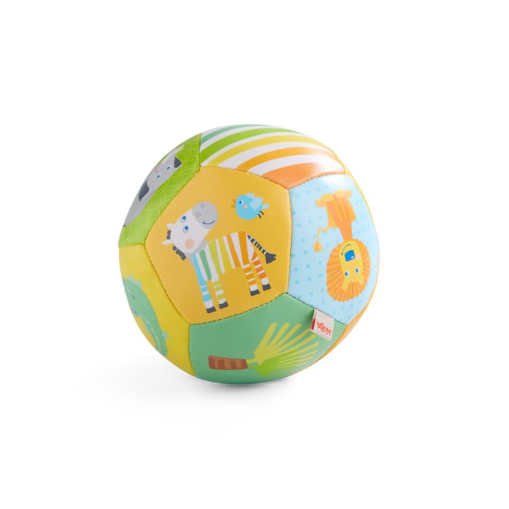 Babyball Zebra