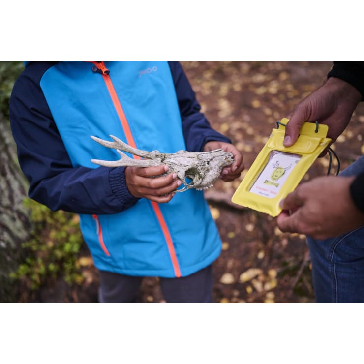Terra Kids Outdoor Suchspiel für Kinder, Suchen & Finden, ab 4 Jahren
