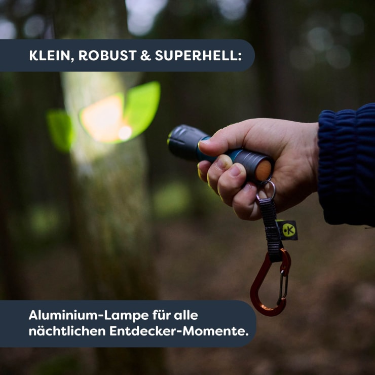 Terra Kids LED-Abenteuer-Taschenlampe mit Karabiner & Reflektor-Stickern