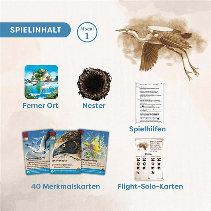 Nature Flight, Erweiterung Modul 1, ab 10 Jahren
