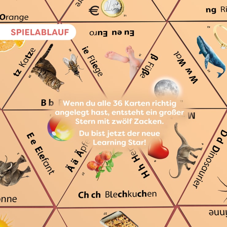 Learning Star – Wort / Bild