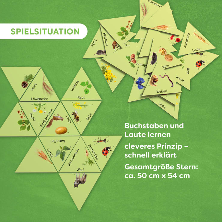 Learning Star Natur