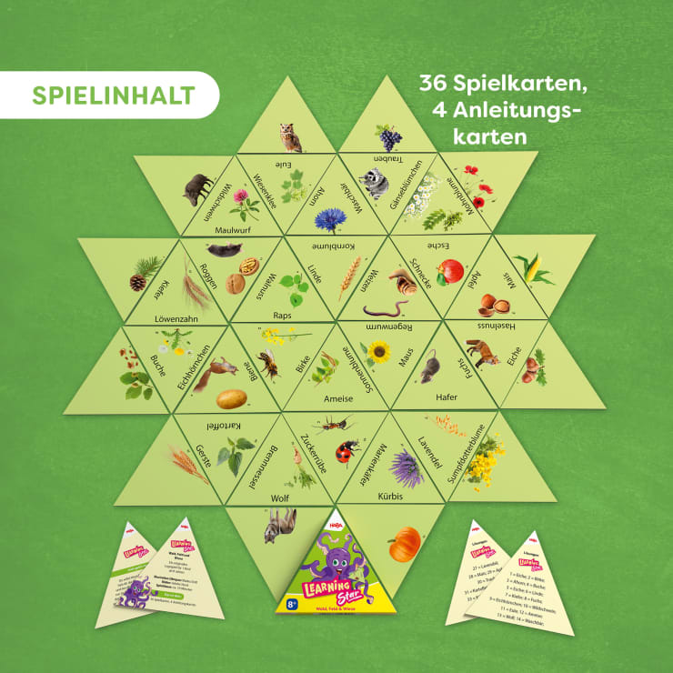 Learning Star Natur