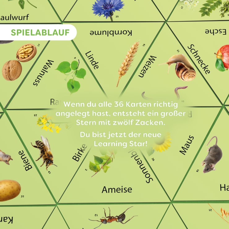 Learning Star Natur