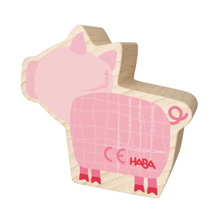 My 1st Block World – Pig Rosali